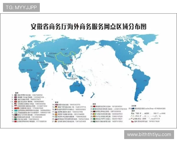 华体会体育官网技术支持与客户服务体系详解保障用户权益