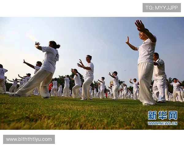 华体会HTH中国体育：体育爱好者必看平台安全性与资金保障措施分析